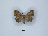  ( - ANHRTUK00035861)  @11 [ ] Copyright (2021) Unspecified ANHRT