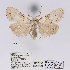  ( - ANHRTUK00037361)  @11 [ ] COPYRIGHT (2021) Unspecified ANHRT