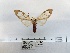  ( - ANHRTUK00038942)  @11 [ ] COPYRIGHT (2021) Unspecified ANHRT