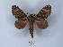  ( - ANHRTUK00039000)  @11 [ ] Copyright (2021) Unspecified ANHRT