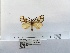  ( - ANHRTUK00039584)  @11 [ ] COPYRIGHT (2021) Unspecified ANHRT