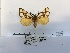  ( - ANHRTUK00039588)  @11 [ ] COPYRIGHT (2021) Unspecified ANHRT