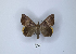  ( - ANHRTUK00040844)  @11 [ ] Copyright (2021) Unspecified ANHRT