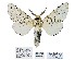  ( - ANHRTUK00041722)  @11 [ ] Copyright (2021) Unspecified ANHRT