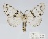  ( - ANHRTUK00042917)  @11 [ ] Copyright (2021) Unspecified ANHRT