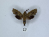  ( - ANHRTUK00043174)  @11 [ ] Copyright (2021) Unspecified ANHRT