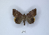  ( - ANHRTUK00043695)  @11 [ ] Copyright (2021) Unspecified ANHRT