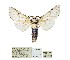  ( - ANHRTUK00044930)  @11 [ ] Copyright (2021) Unspecified ANHRT