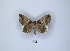  ( - ANHRTUK00045076)  @11 [ ] Copyright (2021) Unspecified ANHRT