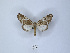  ( - ANHRTUK00045083)  @11 [ ] Copyright (2021) Unspecified ANHRT