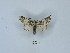  ( - ANHRTUK00045747)  @11 [ ] Copyright (2021) Unspecified ANHRT