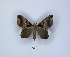  ( - ANHRTUK00045827)  @11 [ ] Copyright (2021) Unspecified ANHRT
