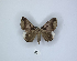  ( - ANHRTUK00045833)  @11 [ ] Copyright (2021) Unspecified ANHRT