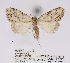  ( - ANHRTUK00046497)  @11 [ ] COPYRIGHT (2021) Unspecified ANHRT