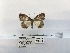  ( - ANHRTUK00046517)  @11 [ ] COPYRIGHT (2021) Unspecified ANHRT