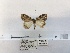  ( - ANHRTUK00046573)  @11 [ ] COPYRIGHT (2021) Unspecified ANHRT