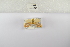  ( - ANHRTUK-00046771)  @11 [ ] Copyright (2021) Unspecified ANHRT