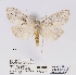  ( - ANHRTUK00047861)  @11 [ ] COPYRIGHT (2021) Unspecified ANHRT