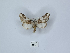  ( - ANHRTUK00047914)  @11 [ ] Copyright (2021) Unspecified ANHRT