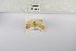  (Afrasura pallescens - ANHRTUK-00049529)  @11 [ ] Copyright (2021) Unspecified ANHRT