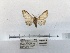  ( - ANHRTUK00055069)  @11 [ ] COPYRIGHT (2021) Unspecified ANHRT