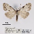  ( - ANHRTUK00055130)  @11 [ ] COPYRIGHT (2021) Unspecified ANHRT