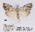  ( - ANHRTUK00055332)  @11 [ ] COPYRIGHT (2021) Unspecified ANHRT