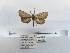  ( - ANHRTUK00055905)  @11 [ ] COPYRIGHT (2021) Unspecified ANHRT