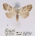  ( - ANHRTUK00056864)  @11 [ ] COPYRIGHT (2021) Unspecified ANHRT