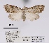  ( - ANHRTUK00056990)  @11 [ ] COPYRIGHT (2021) Unspecified ANHRT