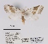  ( - ANHRTUK00056993)  @11 [ ] COPYRIGHT (2021) Unspecified ANHRT