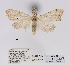  ( - ANHRTUK00057017)  @11 [ ] COPYRIGHT (2021) Unspecified ANHRT