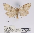  ( - ANHRTUK00057019)  @11 [ ] COPYRIGHT (2021) Unspecified ANHRT