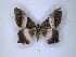  ( - ANHRTUK00058413)  @11 [ ] Copyright (2021) Unspecified ANHRT