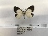  ( - ANHRTUK00058435)  @11 [ ] COPYRIGHT (2021) Unspecified ANHRT