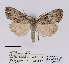  ( - ANHRTUK00058499)  @11 [ ] COPYRIGHT (2021) Unspecified ANHRT