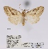  ( - ANHRTUK00058503)  @11 [ ] COPYRIGHT (2021) Unspecified ANHRT