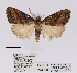  ( - ANHRTUK00058546)  @11 [ ] COPYRIGHT (2021) Unspecified ANHRT
