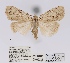  ( - ANHRTUK00059224)  @11 [ ] COPYRIGHT (2021) Unspecified ANHRT