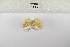  ( - ANHRTUK-00059750)  @11 [ ] Copyright (2021) Unspecified ANHRT