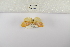  ( - ANHRTUK-00060256)  @11 [ ] Copyright (2021) Unspecified ANHRT