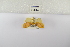  ( - ANHRTUK-00060288)  @11 [ ] Copyright (2021) Unspecified ANHRT