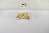  ( - ANHRTUK-00060291)  @11 [ ] Copyright (2021) Unspecified ANHRT