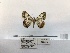  ( - ANHRTUK00065528)  @11 [ ] COPYRIGHT (2021) Unspecified ANHRT