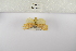  ( - ANHRTUK-00070023)  @11 [ ] Copyright (2021) Unspecified ANHRT
