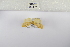  ( - ANHRTUK-00070025)  @11 [ ] Copyright (2021) Unspecified ANHRT