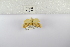  ( - ANHRTUK-00070030)  @11 [ ] Copyright (2021) Unspecified ANHRT