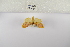  ( - ANHRTUK-00070267)  @11 [ ] Copyright (2021) Unspecified ANHRT