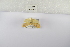  ( - ANHRTUK-00070269)  @11 [ ] Copyright (2021) Unspecified ANHRT