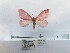  ( - ANHRTUK00072510)  @11 [ ] COPYRIGHT (2021) Unspecified ANHRT